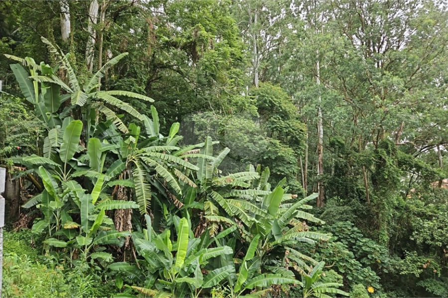 Terreno à venda em Vila Albertina, São Paulo, SP