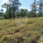 Área de Terra à venda em Monte Alegre, Vinhedo, SP