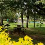 Fazenda à venda com 11 quartos no Centro, Analândia, SP