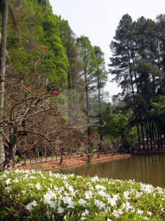 Terreno à venda em Horto Florestal, São Paulo, SP