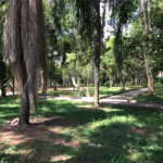 Terreno à venda em Lar São Paulo, São Paulo, SP
