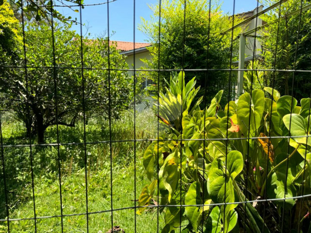 Terreno à venda com 1 quarto em Campo Grande, São Paulo, SP