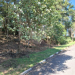 Terreno à venda em Horto, São Paulo, SP