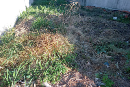 Terreno à venda em João Xxiii, Vinhedo, SP