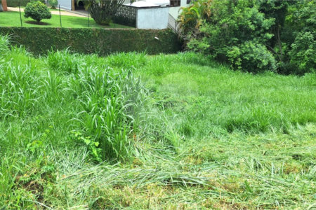 Terreno à venda em Marambaia, Vinhedo, SP