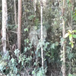 Terreno à venda em Roseira, Mairiporã, SP
