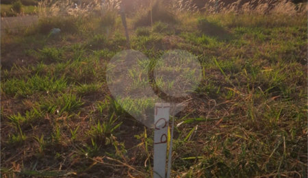 Terreno à venda em Parque Barnabé, Indaiatuba, SP