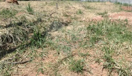 Terreno à venda no condomínio Recanto das Palmeiras, Jundiaí - SP