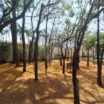 Apartamento para alugar com 3 quartos, sendo 1 suíte, em Água Branca, São Paulo, SP