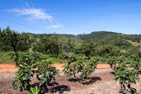 Sítio à venda no Centro, Morungaba, SP