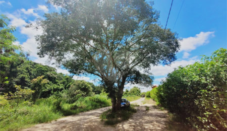 Terreno à venda no condomínio Recanto Campestre Internacional de Viracopos, Indaiatuba - SP