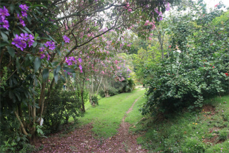 Chácara à venda com 3 quartos, sendo 1 suíte, em Jardim 21 de Março, Louveira, SP