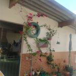 Sobrado à venda com 2 quartos, sendo 1 suíte, em Limão, São Paulo, SP