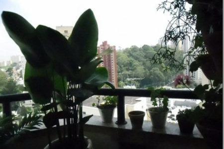 Apartamento à venda com 3 quartos, sendo 1 suíte,  em Vila Andrade, São Paulo, SP