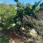 Casa para alugar com 4 quartos, sendo 1 suíte, em Chácara Cabuçu, Guarulhos, SP