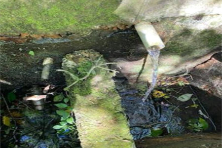 Sítio à venda com 2 quartos, sendo 1 suíte, em Ibiúna, Ibiúna, SP