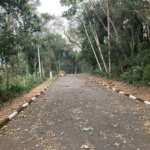 Terreno à venda no condomínio Alpes da Cantareira, Mairiporã - SP