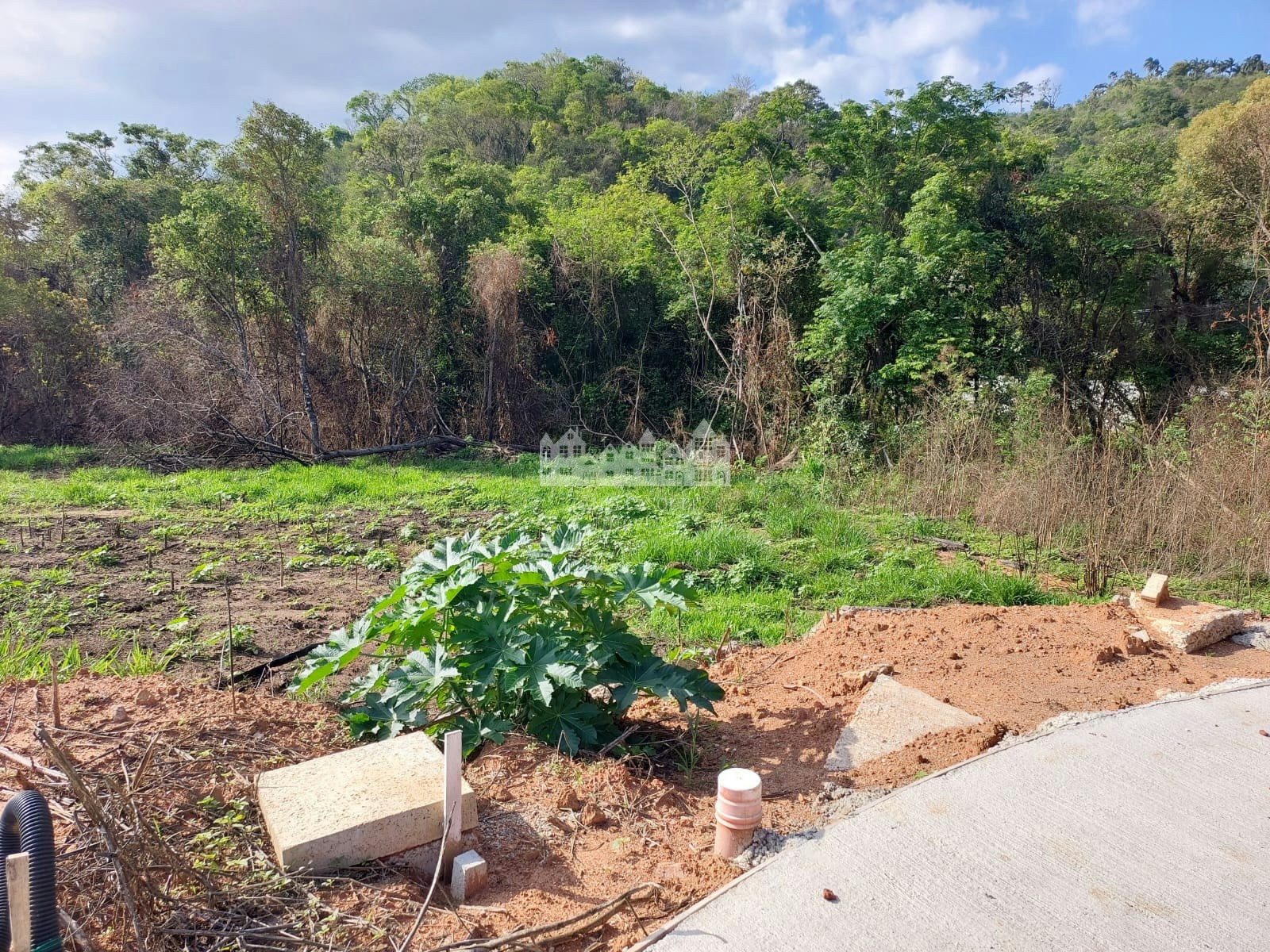 Terreno, 360 m² - Foto 4
