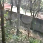 Terreno à venda em Luiz Fagundes, Mairiporã, SP