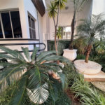 Apartamento à venda com 3 quartos em Mandaqui, São Paulo, SP