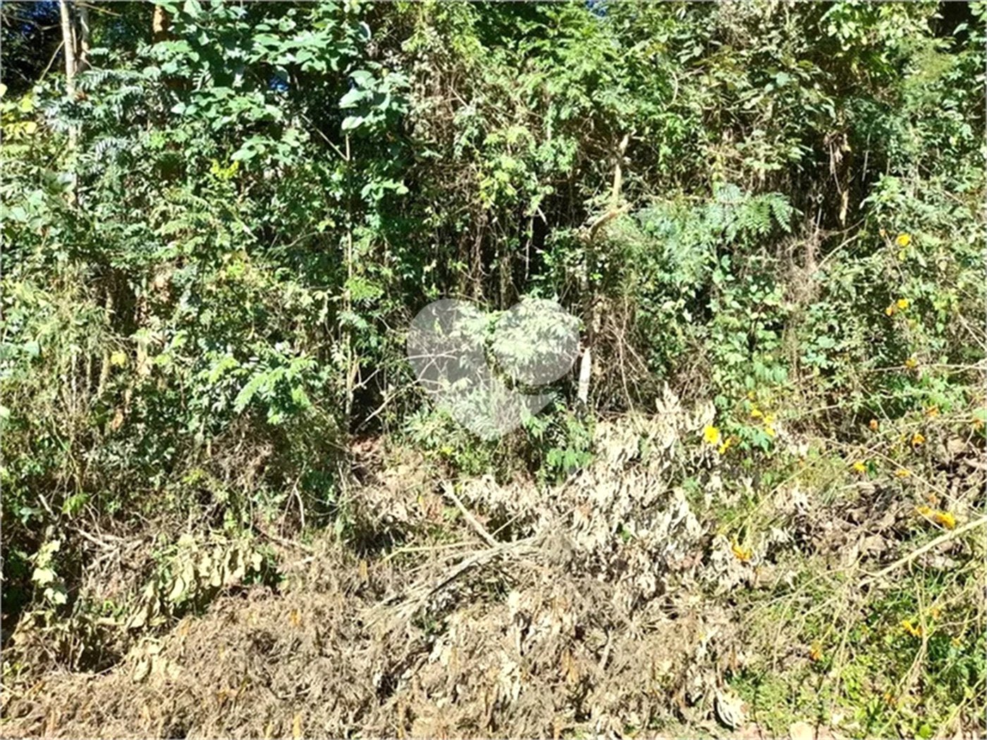 Terreno à venda em Roseira, Mairiporã, SP