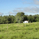 Fazenda à venda com 2 quartos em Canabrava, João Pinheiro, MG