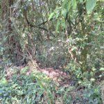 Terreno à venda no condomínio Alpes da Cantareira, Mairiporã - SP