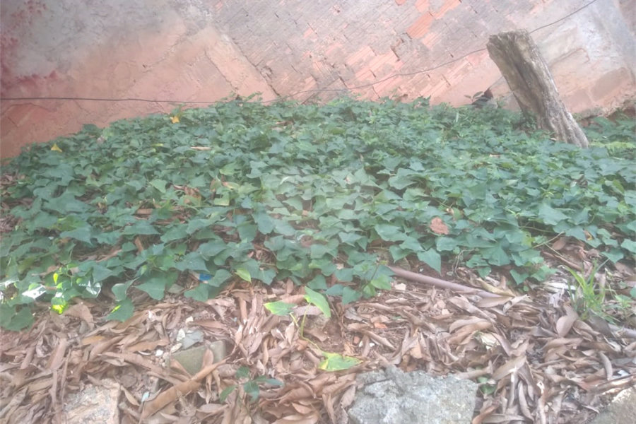 Terreno à venda em Freguesia do Ó, São Paulo, SP