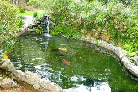 Terreno à venda em Jardim São Vicente, Cotia, SP