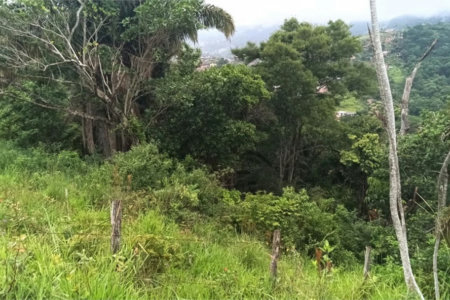 Terreno Residencial à venda, Perequê, Ilhabela - TE0008.