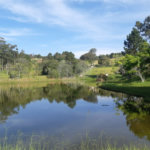 Terreno à venda em Vila Darcy Penteado (mailasqui), São Roque, SP