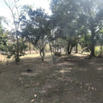 Chácara dos Sonhos à Venda – São Carlos/SP – Recreio Campestre