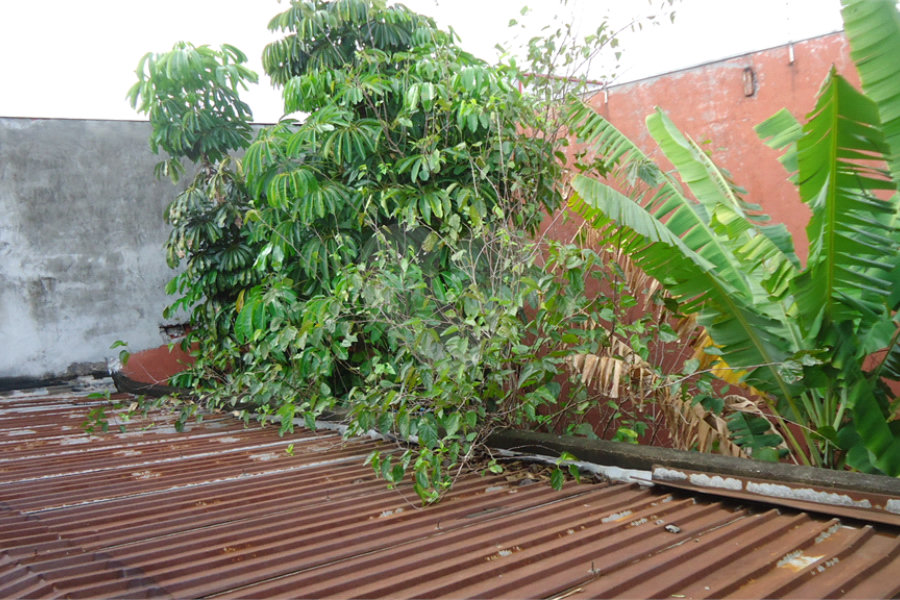 Sobrado à venda com 4 quartos em Santana, São Paulo, SP