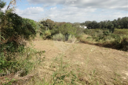 Terreno à venda ou para alugar em Cachoeira, Vinhedo, SP