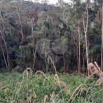 Terreno à venda no condomínio Sausalito, Mairiporã - SP