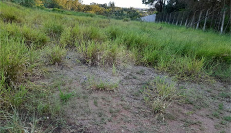 Terreno à venda em Jardim Paraíso do Tanque, Atibaia, SP