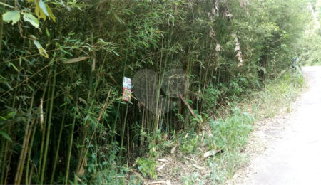 Terreno à venda em Serra da Cantareira, Mairiporã, SP