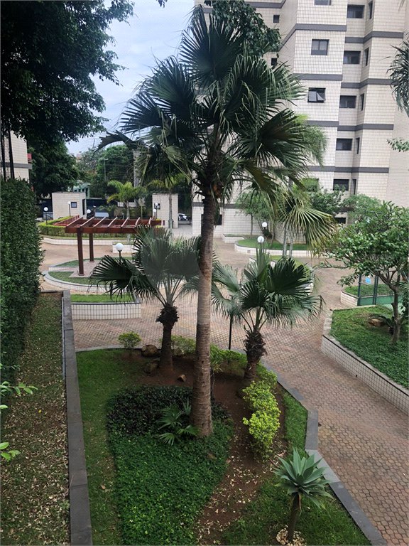 Apartamento à venda com 3 quartos, sendo 1 suíte, em Saúde, São Paulo, SP