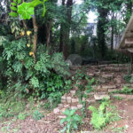 Terreno à venda em Horto Florestal, São Paulo, SP
