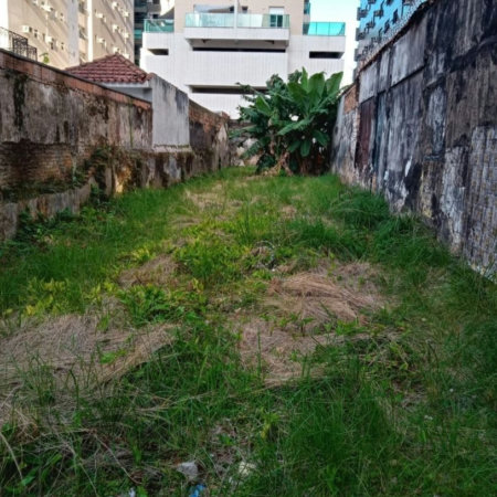 Terreno para alugar, 325 m² por R$ 14.356,00/mês - José Menino - Santos/SP