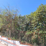 Terreno à venda em Jardim Peri, São Paulo, SP