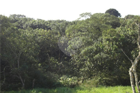 Área de Terra à venda em Porteira Preta, Mogi das Cruzes, SP
