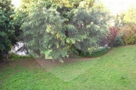 Casa Térrea à venda com 4 suítes em Chácara Monte Alegre, São Paulo, SP