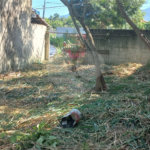 Terreno à venda no condomínio Residencial Camila, Rio de Janeiro - RJ