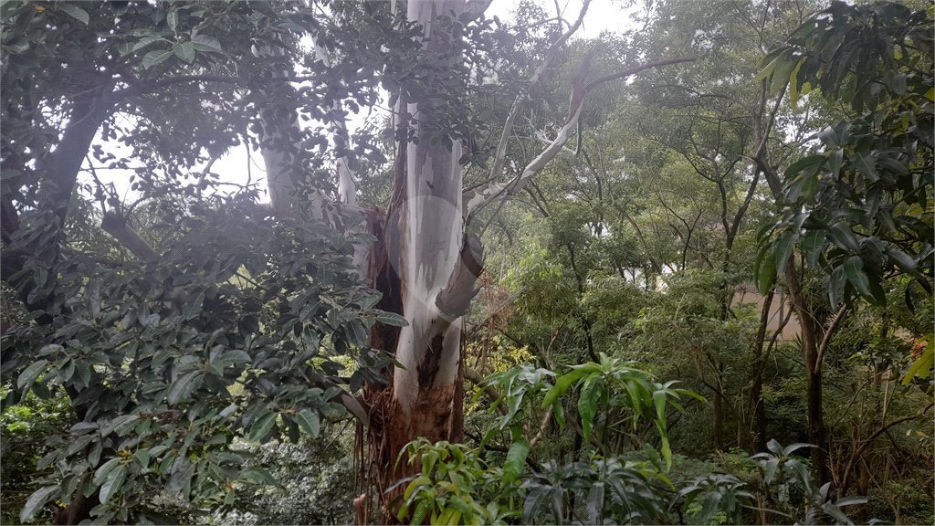Sobrado à venda com 3 quartos, sendo 1 suíte, em Tremembé, São Paulo, SP