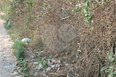 Terreno à venda em Jardim São João (zona Norte), São Paulo, SP