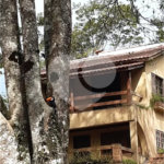 Casa à venda com 3 quartos, sendo 1 suíte, no condomínio Jardim da Monntanha II, Mairiporã - SP