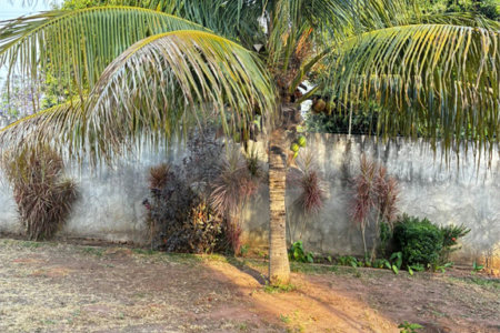 Sobrado para alugar com 4 quartos, sendo 2 suítes,  no Centro, Três Lagoas, MS