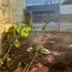Terreno à venda em Tremembé, São Paulo, SP
