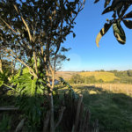 Sítio à venda com 3 quartos, sendo 1 suíte,  em Canta Galo, Itapetininga, SP